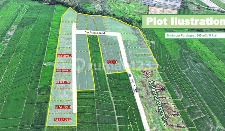 Tanah Kavling 500 M2 Shm Kelating Tabanan