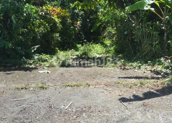 Tanah Di Jalan Antosari, Selemadeg Barat Shm 14000.0 M²