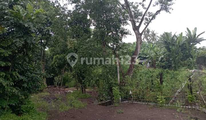 Tanah Dekat Pantai Kedungu Belalang Shm 780.0 M²