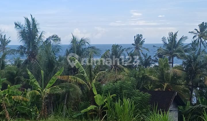 Tanah di Jalan Raya Denpasar-Gilimanuk 18, Selabih, Selemadeg Barat, Tabanan, Bali, Indonesia, 82162, Selemadeg SHM 2300.0 M²