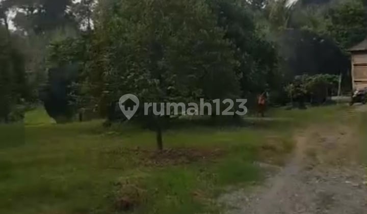 Tanah Industri Rangkasbitung 5Ha