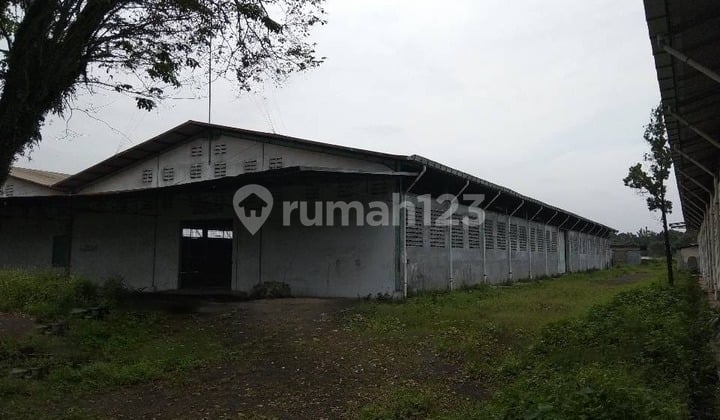 Factory / Warehouse Curug Raya Tangerang