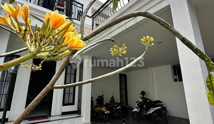 Jagakarsa | Brand New Termurah Hunian Classic Full Furnished Private Pool Jakarta Selatan