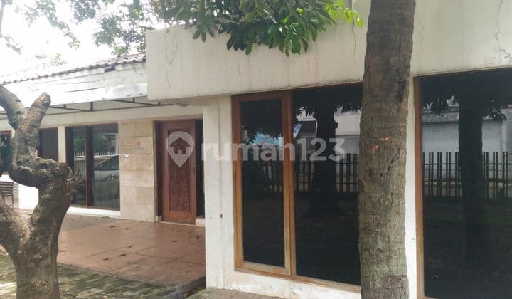 Rumah Tua Harga Tanah Saja di Jl. S Parman