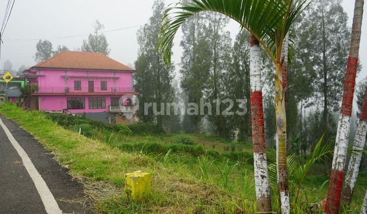 Lahan 2000 Meter di Ds Tosari Pasuruan Jatim