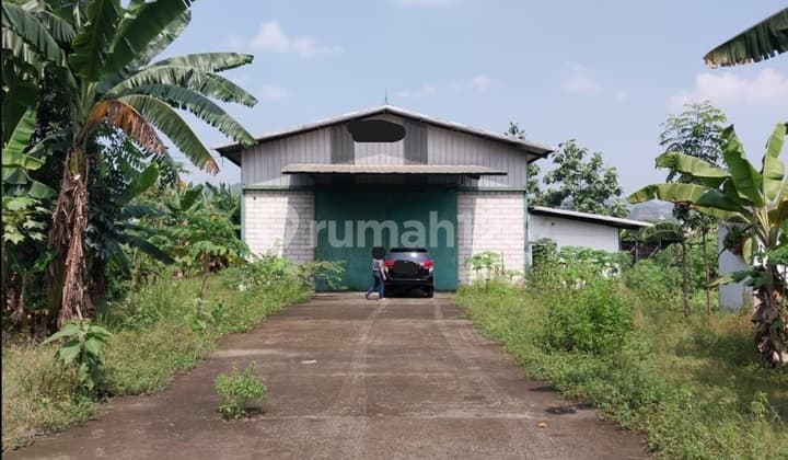 Turun Harga!! Luas 1903M2 Gudang Baru di Jl. Raya Klapa Nunggal Gn.putri, Cileungsi