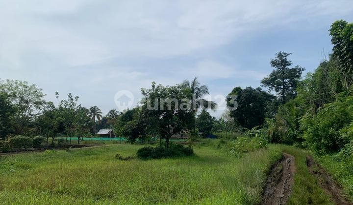 Kavling 2 Hektar Siap Bangun di Babakan Ciseeng Bogor