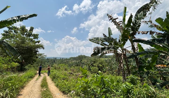 Lahan 2.9 Hektar di Sodong Ligarmukti Cileungsi