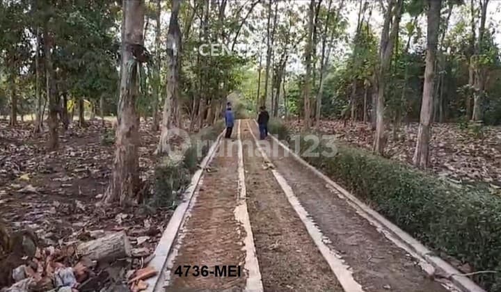 Dijual Kavling Strategis Harga Menarik di Ciseeng Bogor