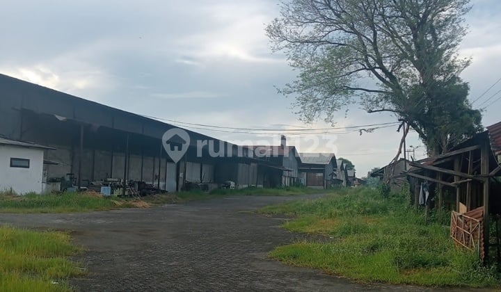 Tanah Dan Bangunan 5.5ha Jalan.raya Akses.container