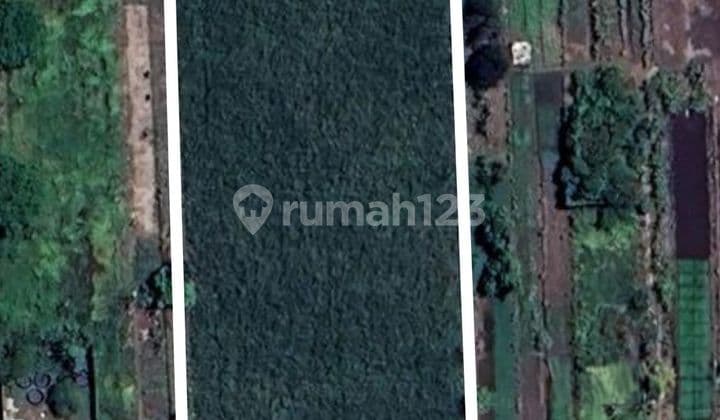 Land Prices in Sukodono Drop