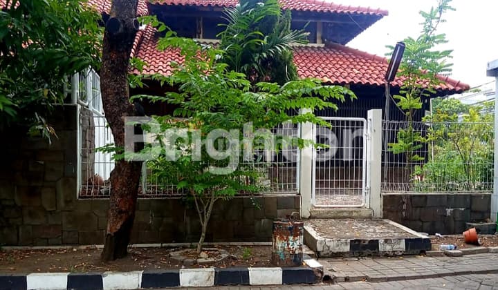 Murah Dijual Rumah Usaha Raya Darmo Baru Barat Surabaya, Cocok Untuk Klinik, Resto, Showroom, Kantor