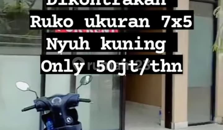 Toko Sewa Murah Dekat Center Ubud Siap Pakai