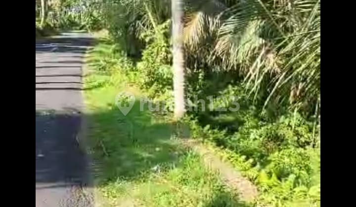 Tanah Zona Kuning Di Jalan Besar Cocok Villa Rental