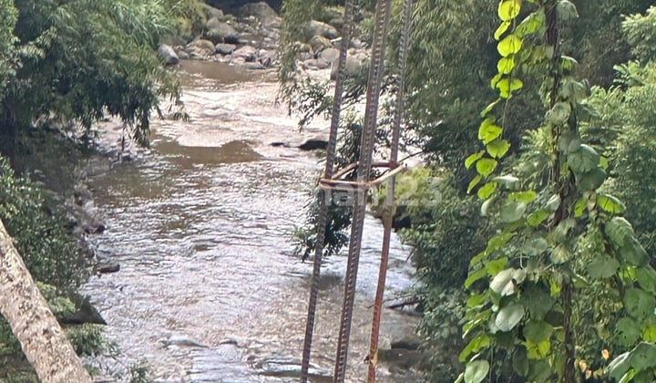 Wos River Land Suitable for Cheap Villa Rentals