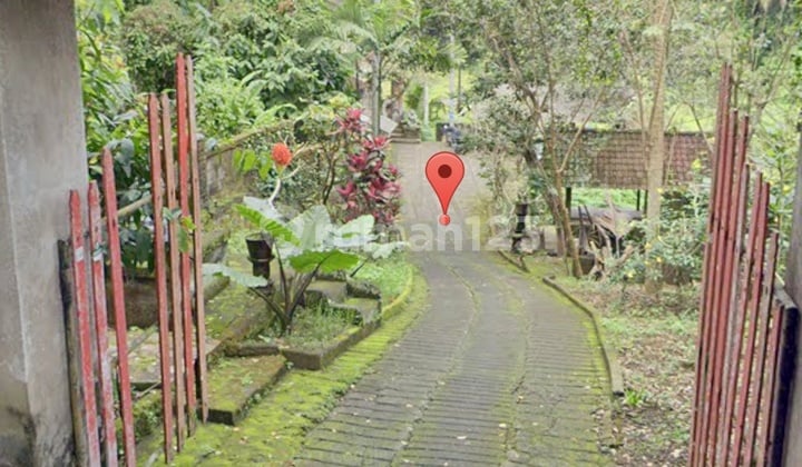Tanah Termurah Ubud Bonus Vila 2 Lantai