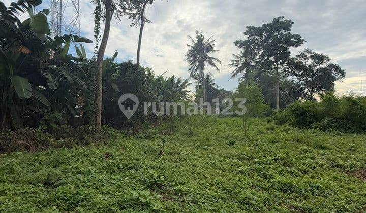 Tanah Zona Kuning Siap Bangun Vila Rental Ubud