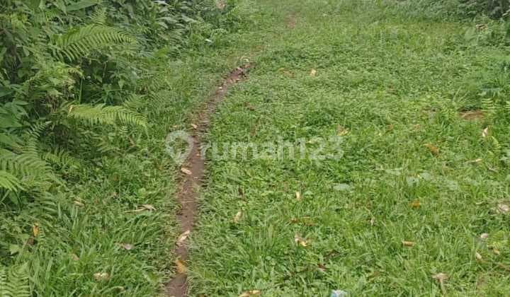 Dijual Tanah Dekat Jatiluwih, Soka Tabanan Luas