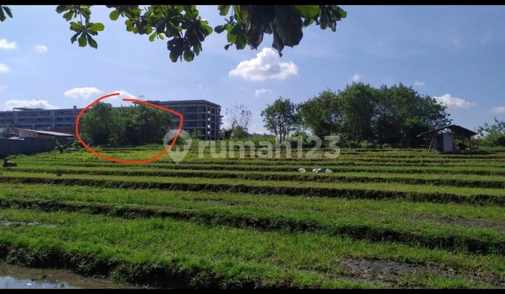 Tanah View Sawah Di Umalas Siap Bangun Villa Pribadi
