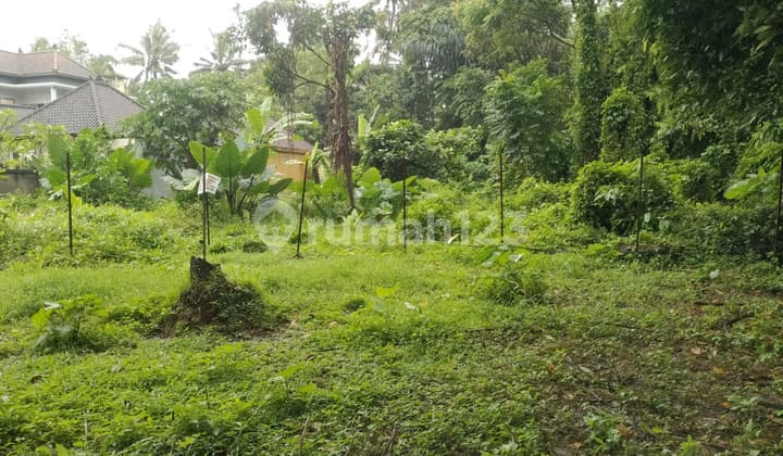 Tanah Dekat Central Ubud Lokasi Bagus Harga Nego