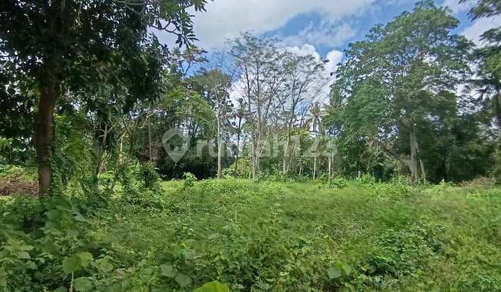 Tanah View Sungai Hutan Keren Cocok Villa Resort Hotel