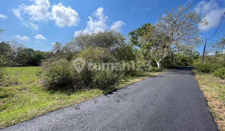 Tanah Jimbaran Siap Bangun Vila Jlan 5 Mtr Aspal