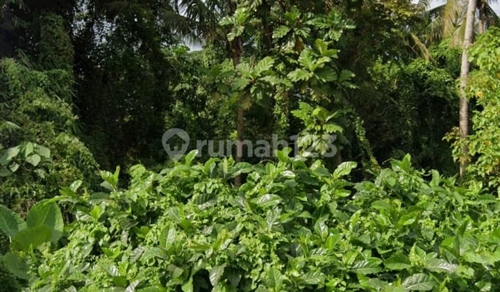 Tanah Central Ubud Jlan Utama Cocok Segala Usaha