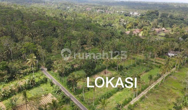 Good land suitable for villas, cool air, villa environment