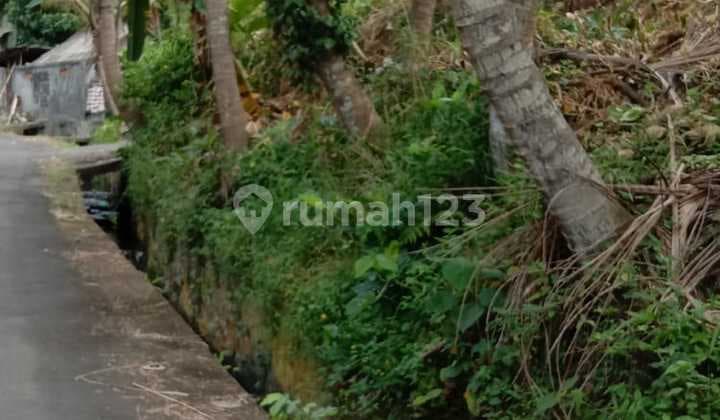 Tanah dekat pantai rangkan ketewel cocok villa view sawah