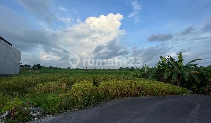 Tanah Strategis Tumbak Bayuh, Canggu. Tanah Canggu view sawah Bagus