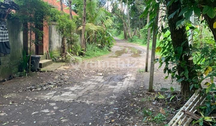 For Sale Cheap Land in Lodtunduh Ubud Area
