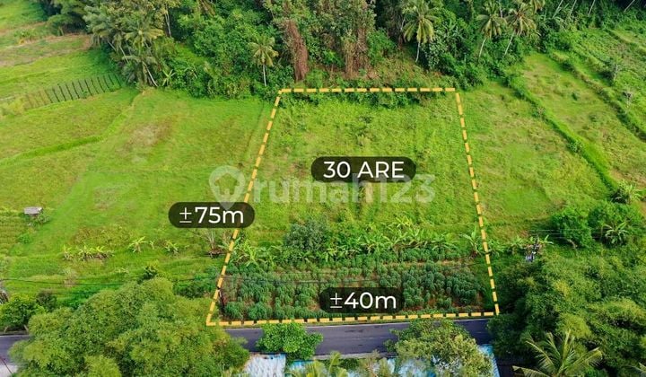 TANAH SEWA PINGGIR JALAN RAYA UBUD COCOK RESTORAN DAN VILLA