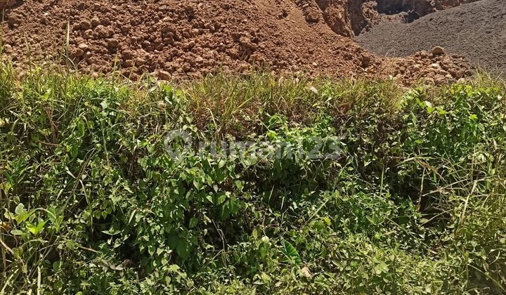 SMALL LAND FOR RENT READY TO BUILD VILLA UBUD