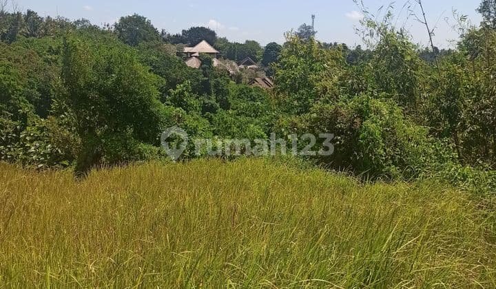 TANAH VIEW SUNGAI KEREN DI SUKAWATI COCOK VILLA DAN KAVLING