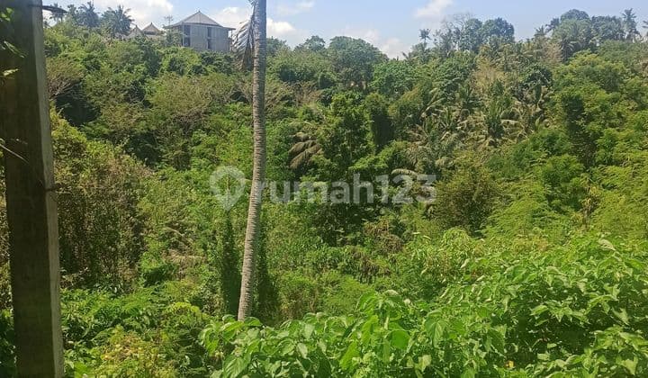 TANAH VIEW KEREN LOS SUNGAI PALING MURAH