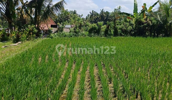 TANAH VIEW CANTIK LINGKUNGAN VILLA SHM SIAP BANGUN