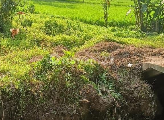 BEAUTIFUL LAND WITH PAIR AND RIVER VIEWS IN UBUD READY TO BUILD