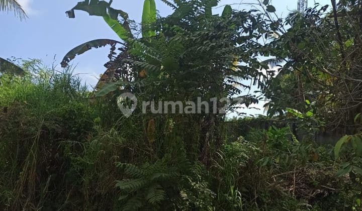 BEAUTIFUL LAND AND RIVER VIEW OF THE VILLA ENVIRONMENT