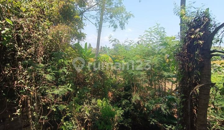 TANAH LOS SUNGAI TERMURAH COCOK VILLA RENTAL