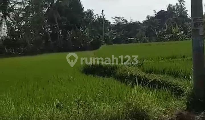 TANAH PINGGIR JALAN RAYA COCOK RESTORAN VIEW SAWAH DAN SUNGAI
