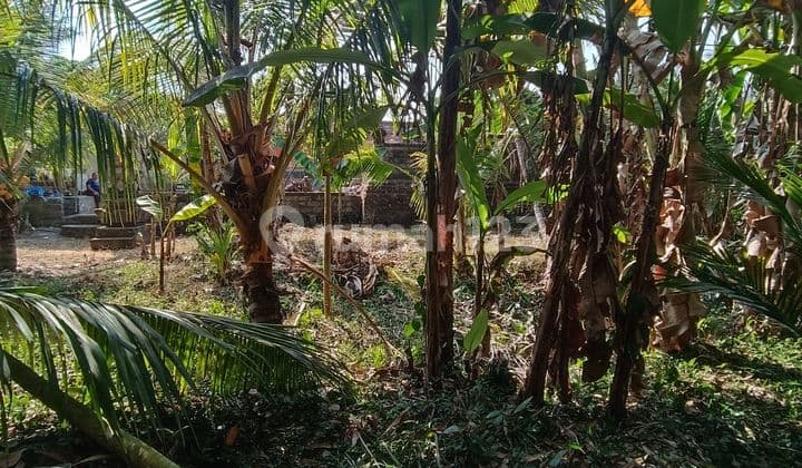 TANAH SEWA VIEW JUNGLE UKURAN KECIL DI UBUD AREAS