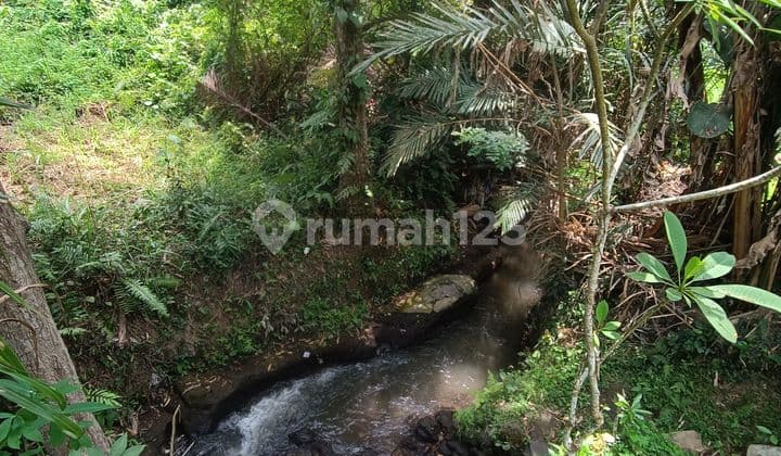 TANAH VIEW SUNGAI SAWAH JUNGLE PALING MURAH DI UBUD