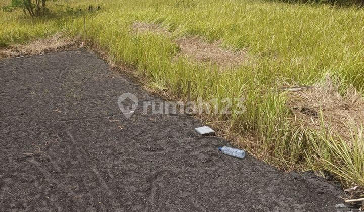 TANAH DALAM KOMPLEK VILLA LODTUNDUH SIAP BANGUN