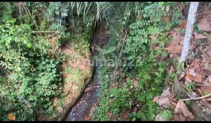 TANAH VIEW SUNGAI JUNGLE SAWAH COCOK VILLA RENTAL