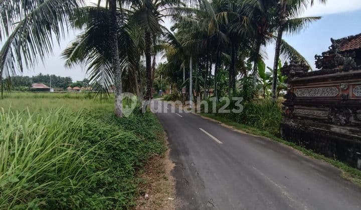 TANAH SEWA SANGAT COCOK KOMPLEK VILLA RENTAL