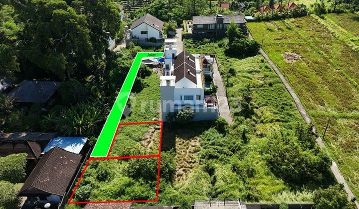 Cheap Price Yellow Zone Land in Mas Ubud
