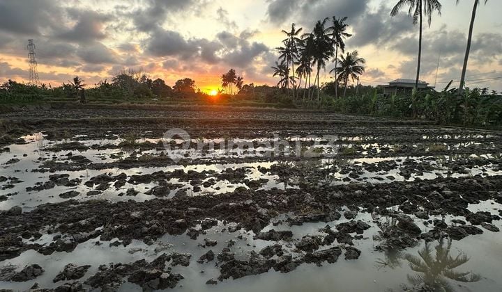 Villa Leasehold 30 Tahun View Sawah Dan Sunset Siap Huni