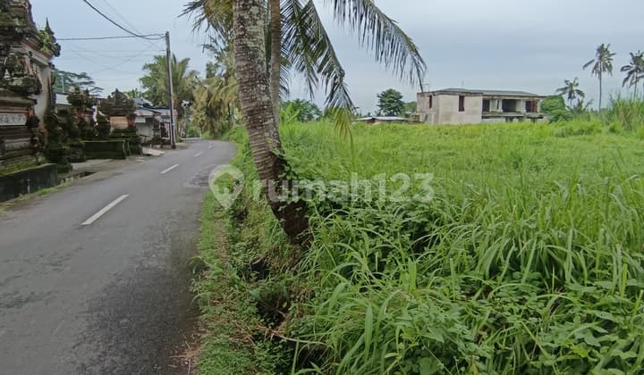 Tanah Pinggir Jalan View Sawah Lingkungan Villa Keren