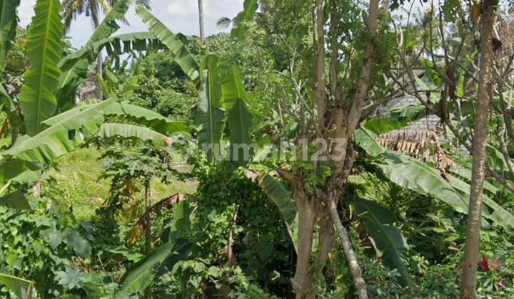 Tanah Cocok Untuk Villa Zona Kuning Harga Murah