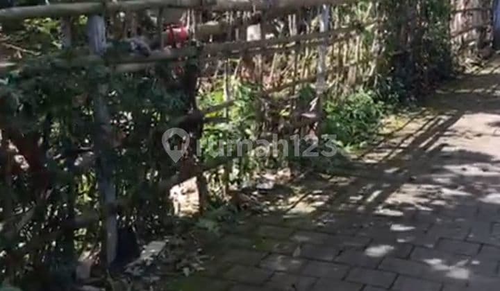 TANAH VIEW SAWAH ZONA KUNING HARGA TERMURAH DI UBUD